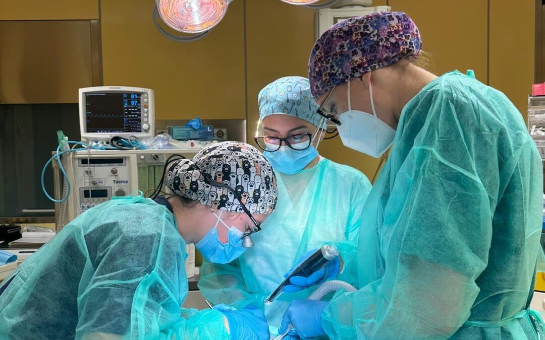 Odontoiatria Chirurgica a Roma: una risposta avanzata per pazienti con bisogni speciali